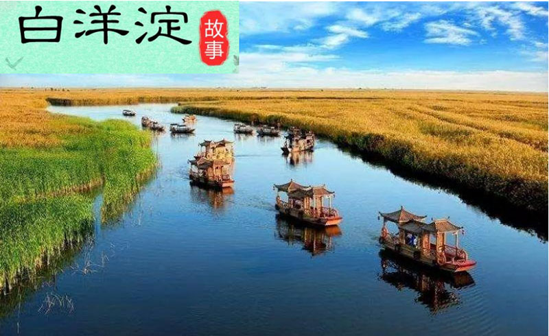 白洋淀